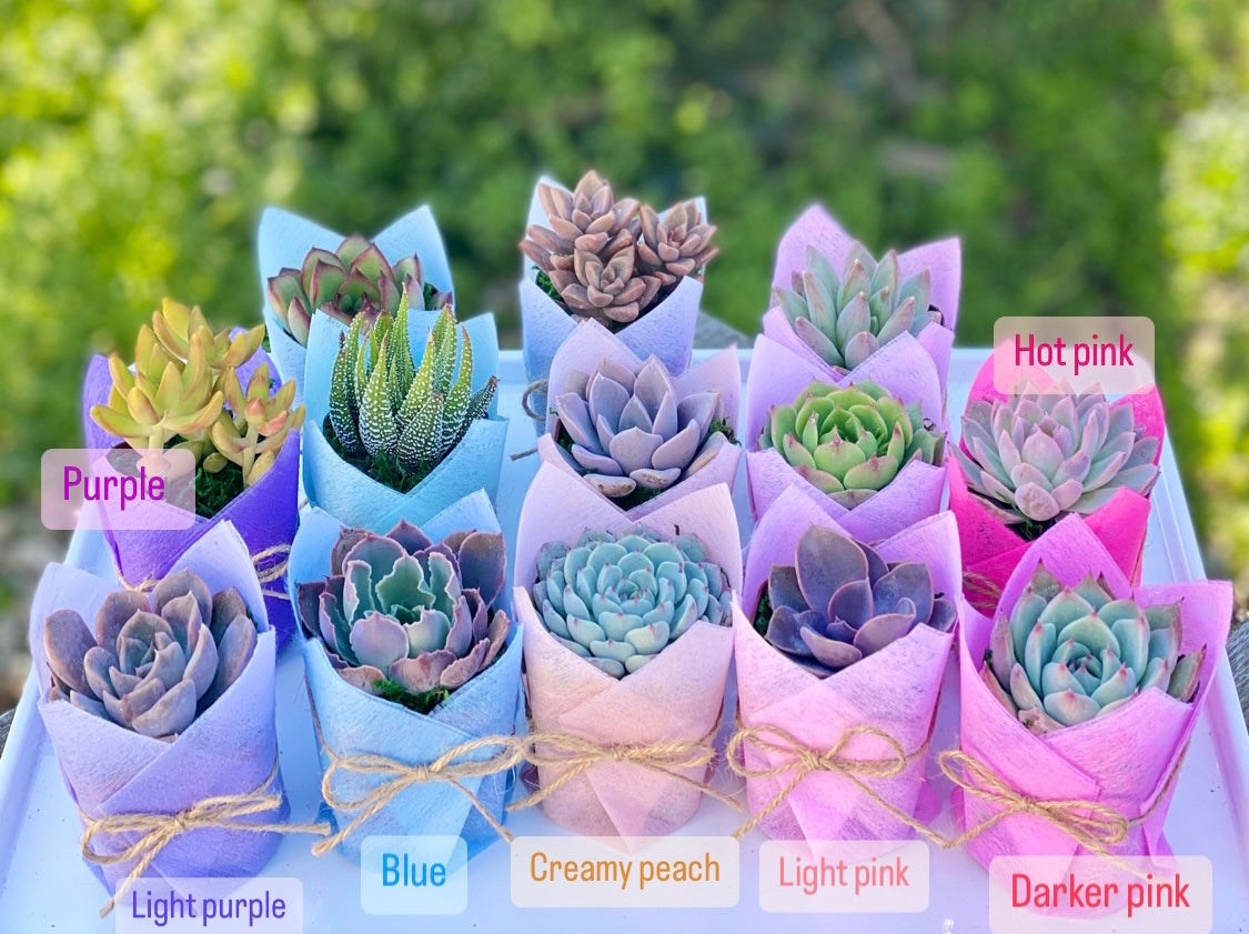 Baby Shower Favor