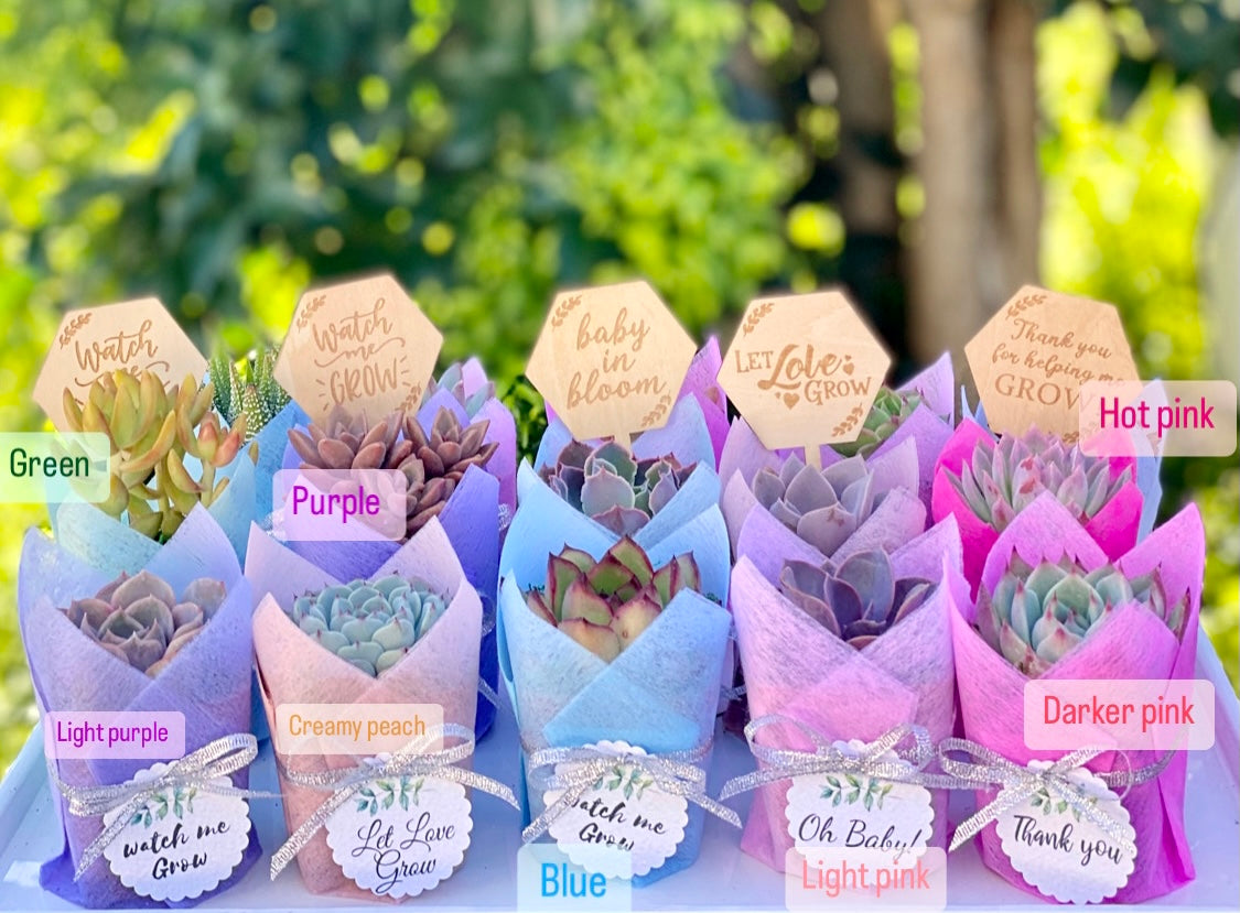 Succulent Favor Gift - Metallic Ribbon