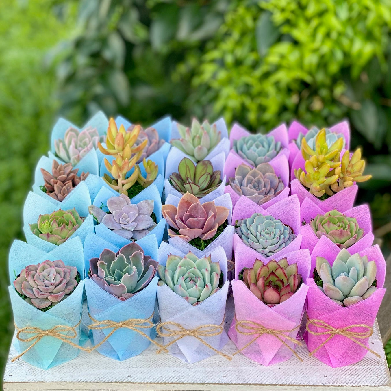 Baby Shower Favor