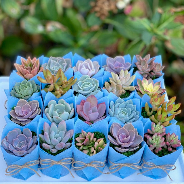 Baby Shower Favor