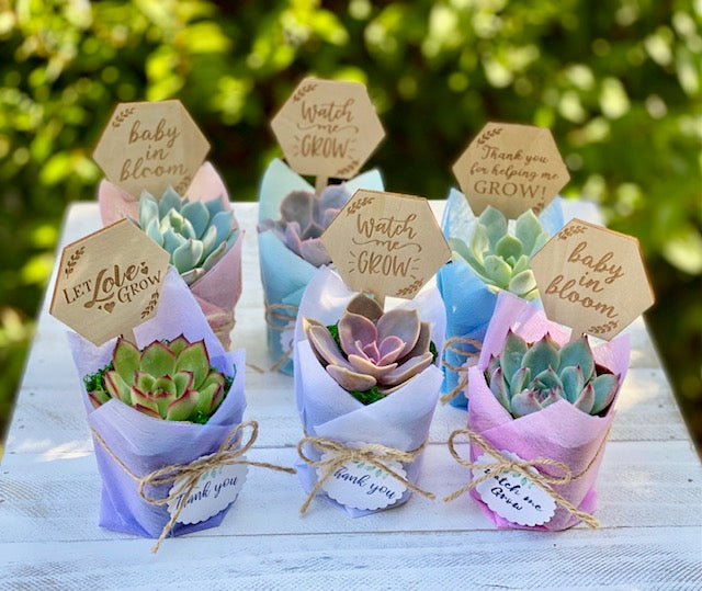 Succulent Favor with Sign/Tag